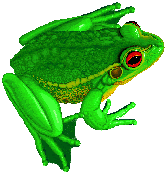 Frosch