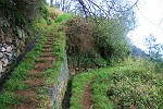 am Levada - Treppe nach oben
