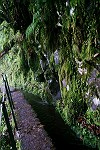 nur 30 cm breit - der Weg auf der Mauer des Levada zum "Caldeirao Verde", dem "grünen Wasserfall"