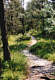 herrliche Wanderwege