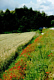Radweg an der Isar - in der N&auml;he von Deggendorf