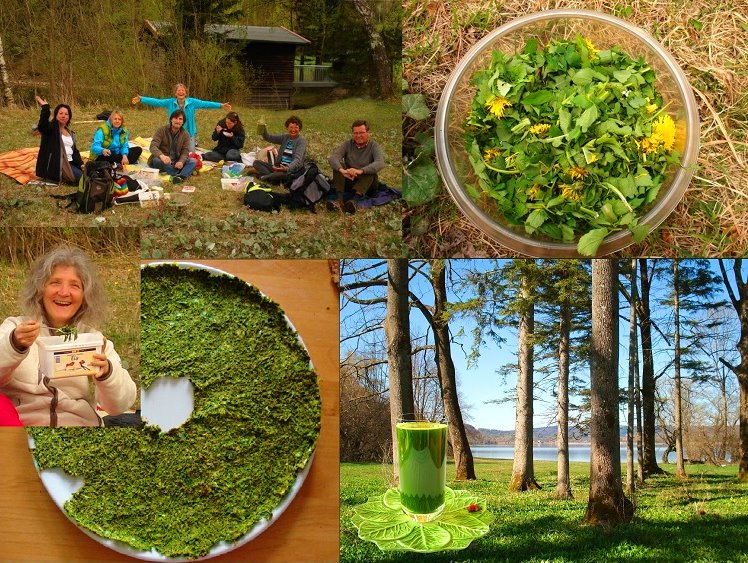 Regina F. Rau: Kräuterbrotzeit - und: Brennessel richtig pflücken und essen