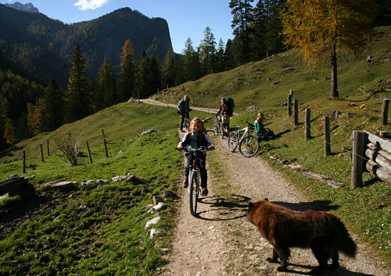 &copy; Familie  Quint - auch der Hund geniesst die Bergtour ...  - hier am Lafatscher Niederleger haben sie den anstrengendsten Teil der Strecke geschafft.