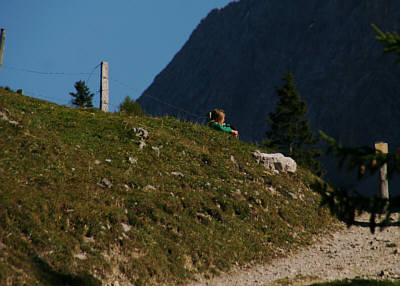 &copy; Gido Quint - aus Berlin auf dem sehr steilen Forstweg zur Hallerangeralm