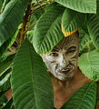 © Regina F. Rau: Portraitkunst - "in the Jungle"
