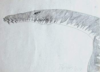 Thomas Besic - Liopleurodon