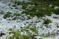 2014-07-28_1Stripsenjoch_Aufstieg_(124).JPG