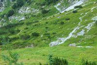 2014-07-28_1Stripsenjoch_Aufstieg_(140).JPG