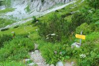 2014-07-28_1Stripsenjoch_Aufstieg_(143).JPG