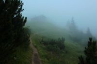 2014-07-29_2Feldalm_(177).JPG