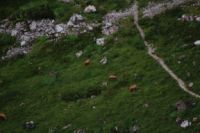 2014-07-31_8Abendrot_(191).JPG