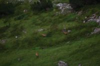 2014-07-31_8Abendrot_(200).JPG