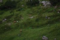 2014-07-31_8Abendrot_(201).JPG
