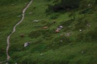 2014-07-31_8Abendrot_(204).JPG
