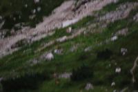 2014-07-31_8Abendrot_(212).JPG