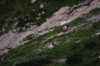 2014-07-31_8Abendrot_(213).JPG