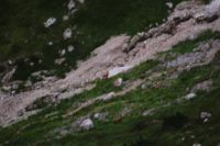 2014-07-31_8Abendrot_(218).JPG