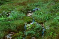 2014-08-01_2FritzPflaumH_(134)b.JPG