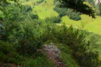 2014-08-01_2FritzPflaumH_(385)b.JPG