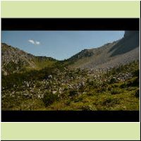 2016-08-27_03_(103)Vr.JPG