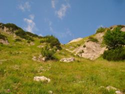 Regina-F-Rau_2013-08-12_Frohkostgipfel  (033).JPG