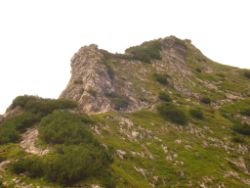 Regina-F-Rau_2013-08-12_Frohkostgipfel  (039).JPG