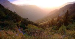 2013-08-12_Frohkostgipfel_VW (032b).JPG