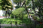 "Centro Juventude" (Jugendzentrum) -Der Garten im hinteren Bereich