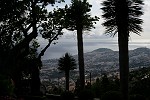 Blick auf Funchal