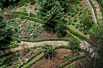 Der "Jardim Botanico"
