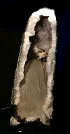 Druse