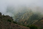 Blüten-Regen am Eingang von Caldeiro Verde