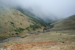 Blüten-Regen am Eingang von Caldeiro Verde