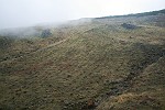 Blüten-Regen am Eingang von Caldeiro Verde