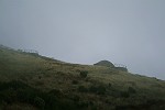 Blüten-Regen am Eingang von Caldeiro Verde