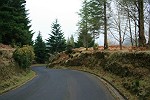 Blüten-Regen am Eingang von Caldeiro Verde
