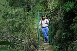 Blüten-Regen am Eingang von Caldeiro Verde
