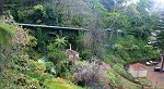 Monte - Am "Jardin Botanico"