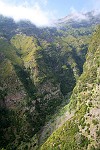 die Schlucht am Levada "Do Barriero"