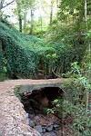 Brücke über einen von Efeu überwucherter trockenen Bachlauf