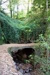 Brücke über einen von Efeu überwucherter trockenen Bachlauf 