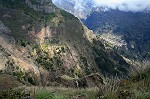 bizarre Felsklippen