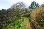 hinter dem Tunnel