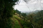 Seitlich des Levada-Tunnels