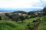 Blick auf Gaula