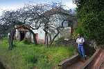 Camacha - Straße zum Levada