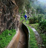 Levada im Regen