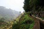 Levada-Landschaft im Regen
