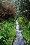 Levada-Steilrinne
