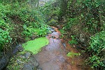 rote Erde - eisenhaltiges Wasser: das Becken unterhalb des Wasserfalls